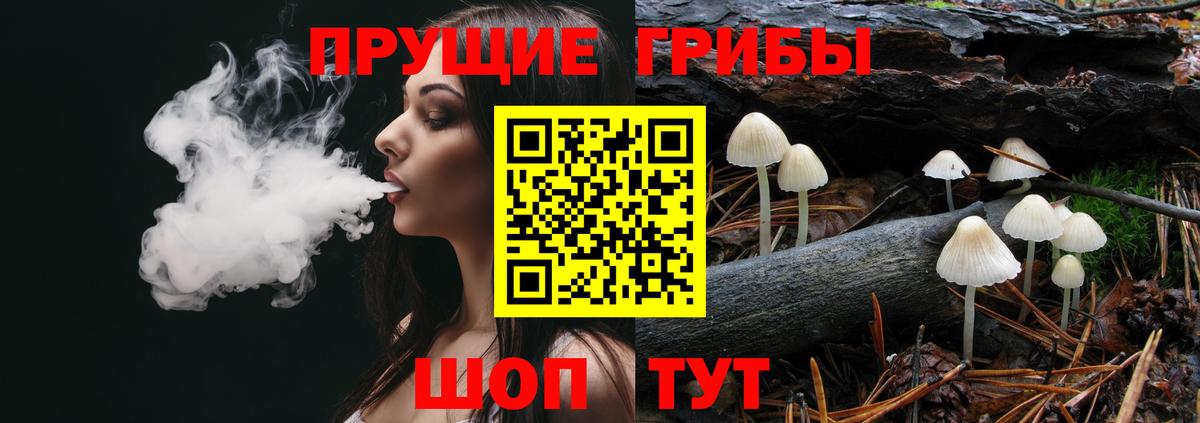 Скопин  Галлюциногенные грибы мицелий  Вход с VPN 